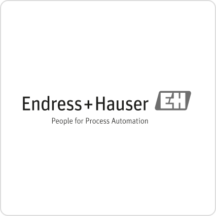 Endress + Hauser Messtechnik Logo